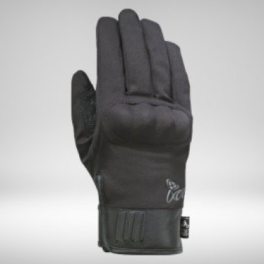 Pro Verona Lady - photo 0