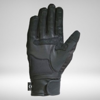 Pro Verona Lady - photo 1